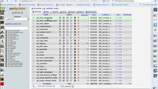 Editing the database through phpmyadmin