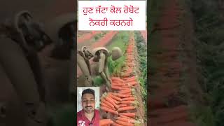 ਹੁਣ ਜੱਟਾ ਕੋਲ ਰੋਬੋਟ ਕੰਮ ਕਰਨਗੇ             #robot #agriculture #agriculturelife