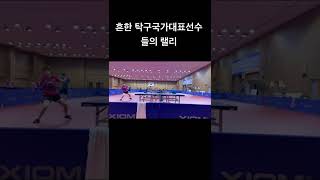 흔한 탁구국가대표선수들의 랠리#shorts