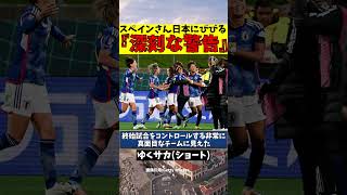 女子サッカー日本代表にスペインさんビビり散らかす【ゆっくり解説】#shorts