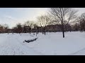 the university of chicago at winter hd vr virtual tour 360