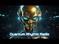 QRR TV-Grid Transmission 002 MX