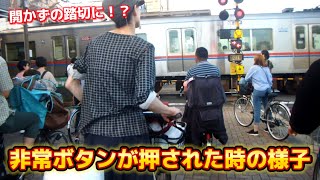 【開かずの踏切に…】京成線 お花茶屋駅の踏切で非常ボタンが押された時の様子