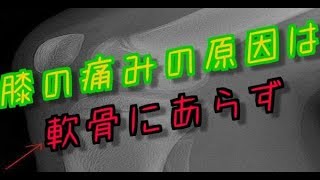 【宇都宮　整体】すずたつ 膝痛の原因は軟骨ではなかった！？