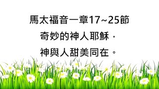 第2輯，馬太福音一章17~25節 //每次讀經十分鐘，讓神陪你一整週(奇妙的神人耶穌，神與人甜美同在)//陪你讀聖經//每週出兩輯(主日和週三)，每週講一章#一本你讀得懂的聖經