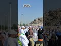 Tidak pernah sepi. Ribuan Jama'ah Ziarah Ke Jabal Rahmah #videoshort #shorts #jabalrahmah #mekkah