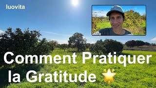 Comment Pratiquer la Gratitude pour Une Vie Plus Heureuse, de LUOVITA.COM