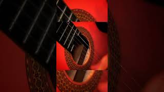 Easy Rumba Flamenco || For Beginners🎸 #viral #guitar #shorts #trending #music #beginners