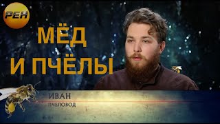 МЁД И ПЧЁЛЫ. ИВАН НА РЕН-ТВ