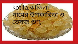 Gond Katira - ব্যবহার এবং উপকারিতা / Health Benefits/ karira