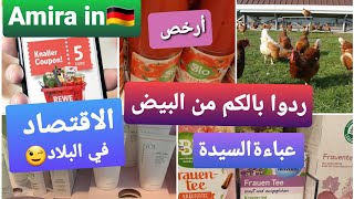 زيت الزيتون طلع طلعة🚀/ اجي نشرح ليكم تطبيق Rewe👌/ علاش تنشري البيض البلدي 🤔؟/ عباءة السيدة/ مشتريات