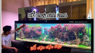 Cùng ngắm HỒ THUỶ SINH kích thước khủng 2m4 - và những chia sẻ hữu ích