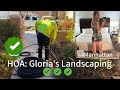 HOA: Gloria’s Landscaping DONE!