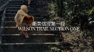 香港行山 衛奕信徑第一段 Wilson Trail Section 1｜天梯大上大落孖崗山、紫羅蘭山｜香港島｜行山｜Hong Kong hiking #靜路閑人 #mindfulness #身心靈