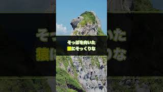 行かないと損する壱岐で人気観光スポット#旅の輪九州 #九州旅行 #福岡旅行代理店 #学生旅行 #長崎のしま旅 #壱岐 #対馬 #五島 #石垣島 #ハワイ #グアム #ビーチリゾート #台湾 #団体旅行