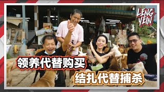 KCLY | Puppy's Loving Home :领养代替购买，结扎代替捕杀！每只狗狗都是一条生命，请好生对待...