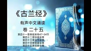 《古兰经》有声中文诵读（卷二十五）