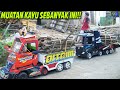 DITDIM MUATAN KAYU PAKAI 2 TRUK, PALING KUAT YANG MANA YA?