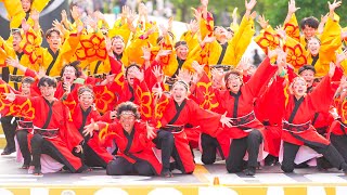 [4K] 関西大学学生チーム漢舞 【セミファイナル演舞】YOSAKOIソーラン祭り 2023 日曜日 セミファイナル (中央)