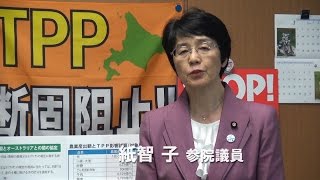 紙智子参院議員のコメント