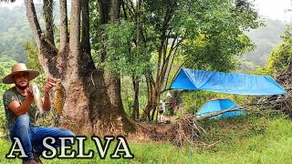 ACAMPEI NO MEIO DA SELVA, PERIGO NA TRILHA, TODO CUIDADO FOI POUCO, PESCARIA DE CARPAS NATIVAS!