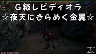 【MHF G】　Akiの日常　第２３弾　見た目装備でG級レビディオラ　☆夜天にきらめく金翼☆　【THE ALFEE】「Justice For True Love」