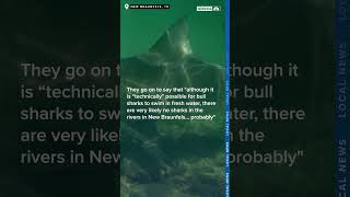 City of New Braunfels reassures tubers that there are no sharks in Comal County rivers