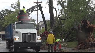 Hurricane Ian blamed for many trees down in Columbia