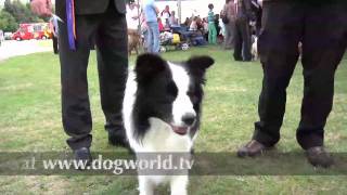 Southern Counties Ch Show Trailer