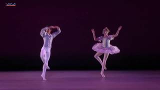 Antonio Casalinho - Pas de Deux Coppelia with Avery Gay YAGP 2017 Tampa Florida