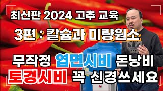 2024최신) 고추 3편 - 고추에 칼슘 엽면시비 시기가 있습니다 필요할때만 하세요!! 미량원소까지 전부 정리해드립니다! | 칼슘, 석회, 칼슘유황,질산칼슘 | 농사 100단