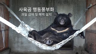 [곰 보금자리 프로젝트] 사육곰 행동풍부화 과일 급여 및 해먹 설치 | Enrichment for Moonbears in the bear bile farm