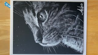 【黒板】白のチョークで夜空を見上げる猫の描き方