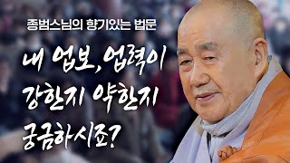 내 업보, 업력이 강한 지 약한 지 궁금하시죠? 알 수 있는 방법은... [종범스님의 향기있는 법문] #종범스님 #불교 #업보