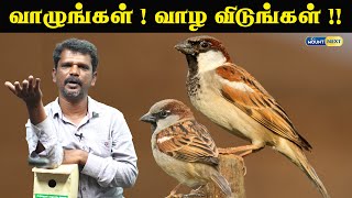 Sparrow | வாழுங்கள் வாழ விடுங்கள் | சிட்டுக்குருவி பாதுகாப்பு அமைப்பு, கோவை.