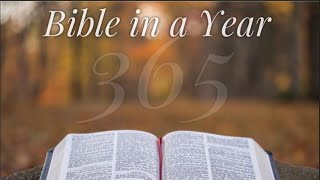 Bible (NLT) in Chronological in a year. Exodus 13-15 (Monday 02/03/25)