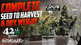 Complete Seed to Harvest Grow Under The Spiderfarmer SF-2000