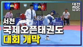 서천 국제태권도 대회 개막/대전MBC