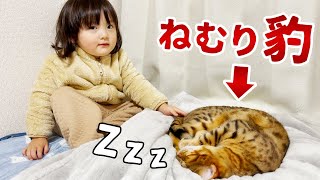 豹のような眠り猫に絵本を読んであげたいおしゃべり2歳娘