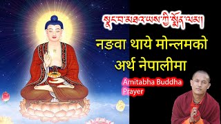 Nangwa Thaye Monlam - Amitabha Buddha Prayer - नङवा थाये मोन्लम। - སྣང་བ་མཐའ་ཡས་སྨོན་ལམ།