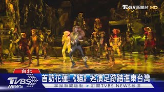 首訪花蓮!《貓巡演足跡踏進東台灣》｜TVBS新聞