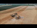 triticale harvest 2019