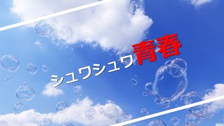 （ボカロ・オリジナル曲）シュワシュワ青春