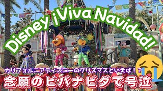 【カリフォルニアディズニー】ビバナビダ！クリスマスのディズニーといえば！？念願のビバナビダで号泣！！