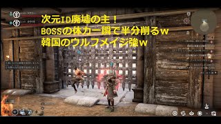 次元IDのBOSSのHP一瞬で半分削る！！ｗｗ味方のウルフメイジ最強？[bless unleashed][crescent moon mage][新月メイジ]