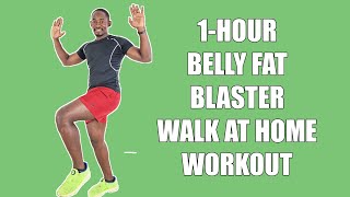 1-HOUR BELLY FAT BLASTER Walk at Home Workout/ Walk 7,000 Steps