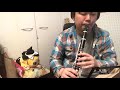 ロキ／みきとpをクラリネットで本気の再現して演奏してみた clarinet cover roki／rin kagamine・mikitop