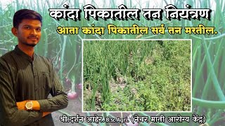 कांदा पिकातील तन नियंत्रण || Onion Crop's Weed Management.