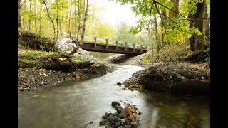 Darrell Gray - Private Fish Passage Barrier Removal