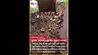 7 .ફૂટ ખાડા માં પડેલ આખલા ને બચાવ્યો..